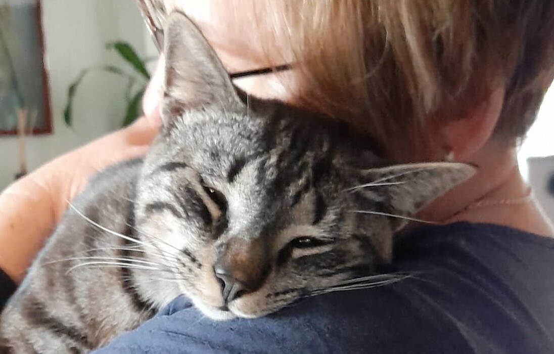 ollie on my shoulder_cropped