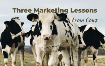 Three marketing lessons from cows