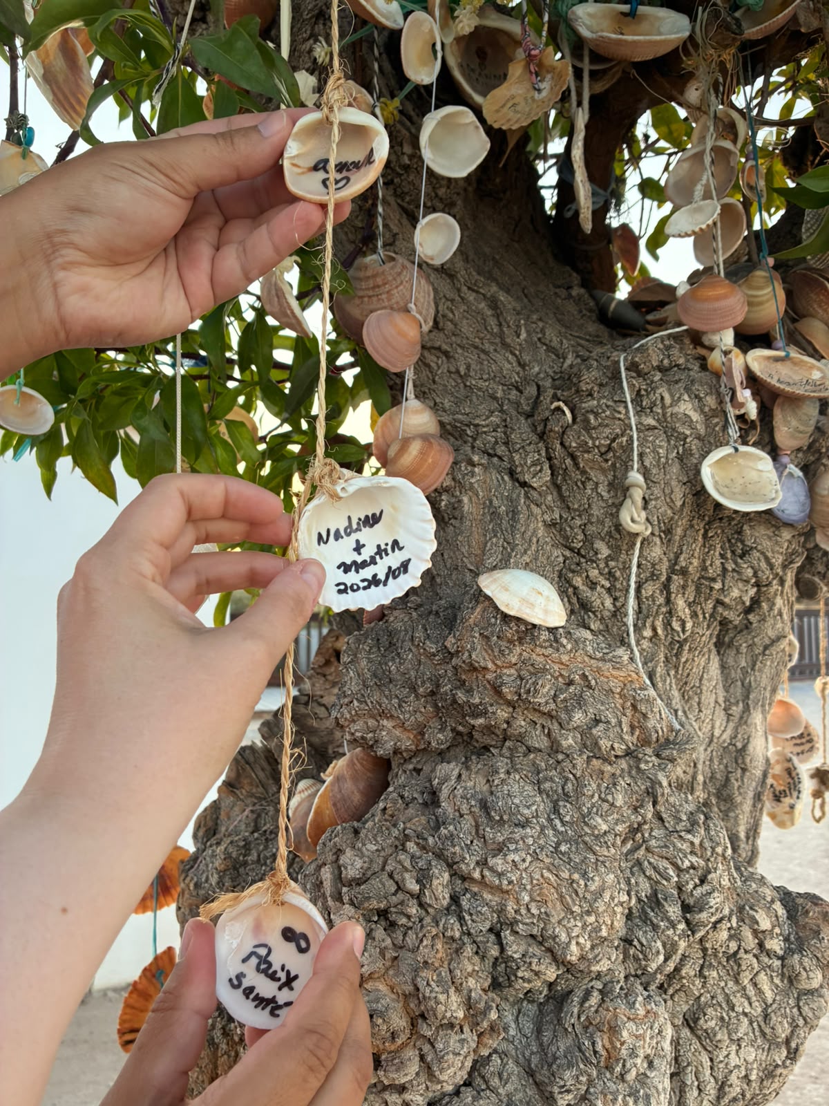 Shells left by visitors at Nossa Senhora da Rocha in the Algarve