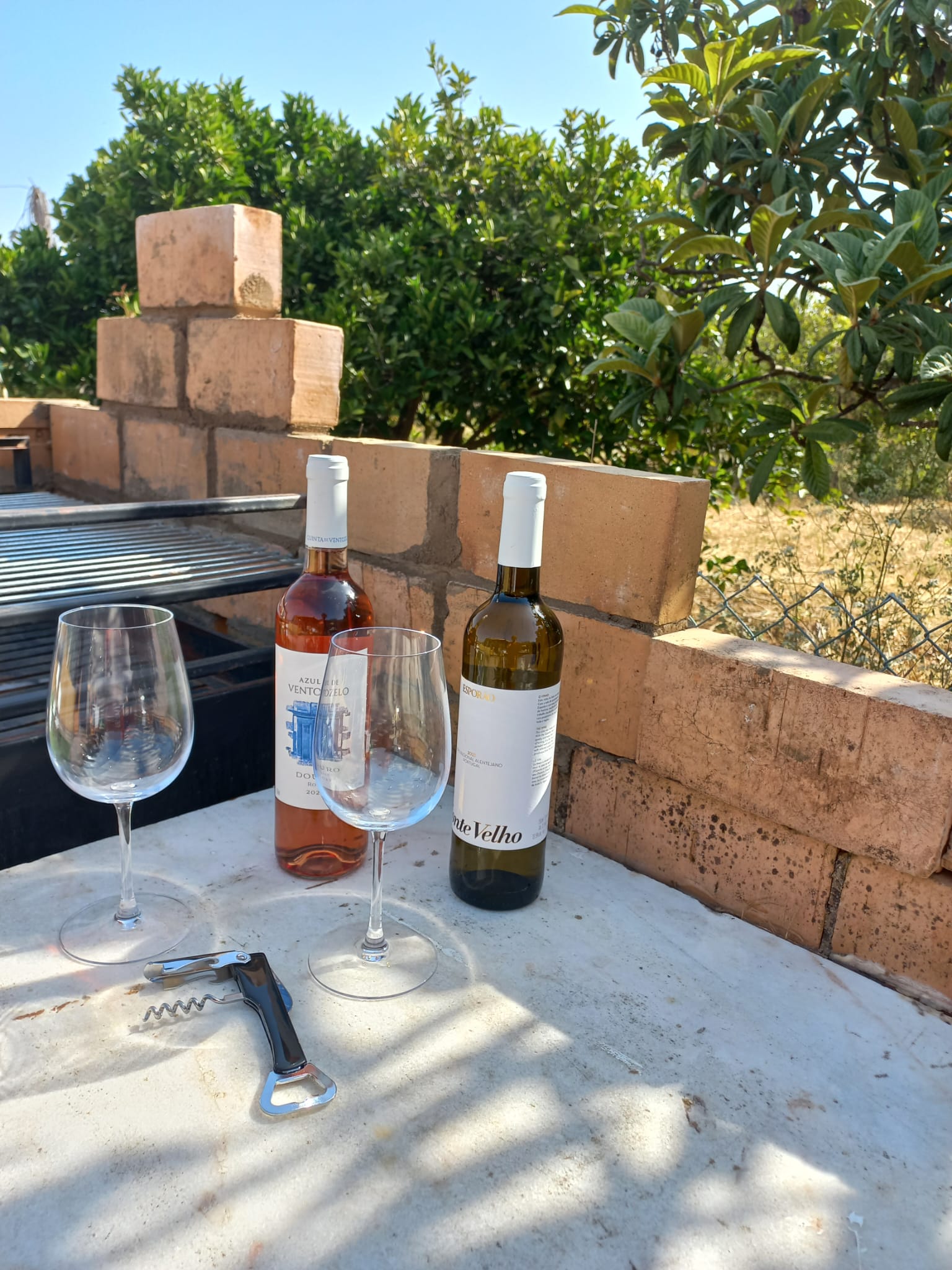 Wine for two beside the fruit trees at La Casita